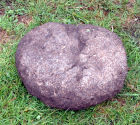 Unfinished abandoned medieval quern stone.