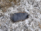 Stone Age flint find