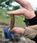 Iron Age Pottery find