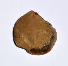 Stone Age flint scraper found on site