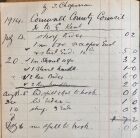 Cornwall County Council