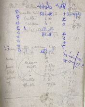 "Blotting Paper" casual accounting